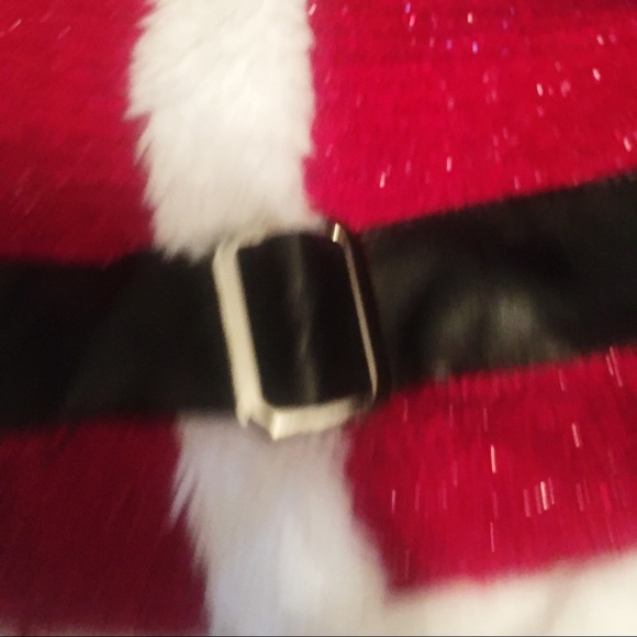 Dog Santa Claus 🎅 costume - Picture 5 of 6